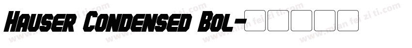 Hauser Condensed Bol字体转换
